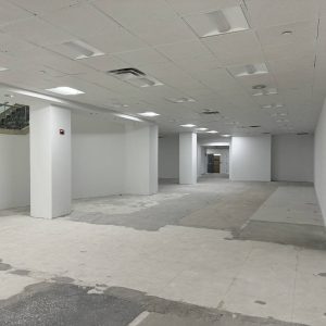 529 5th Ave (Support)