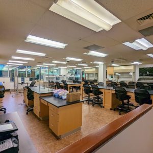 Labs