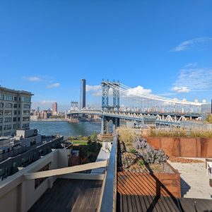 All Roofs