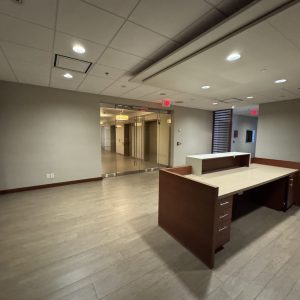 393 University Avenue